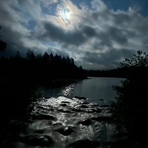 Trösten