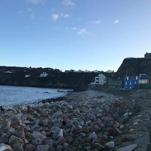 The World Without You