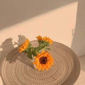 眼泪是写给海的信