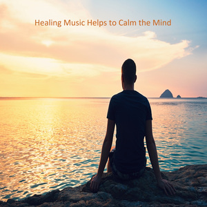 피톤치드 숲속에서