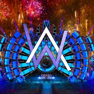 Alan Walker-The Spectre（黄雨豪 remix）