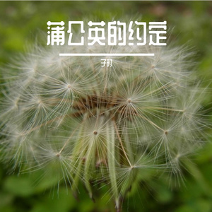 蒲公英的约定