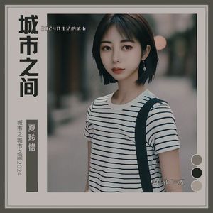 城市之间2024