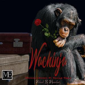 Wachinja (feat. Young tiger)