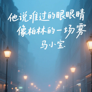 他说难过的眼睛像柏林的一场雾