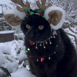 What's The Difference (slowed)