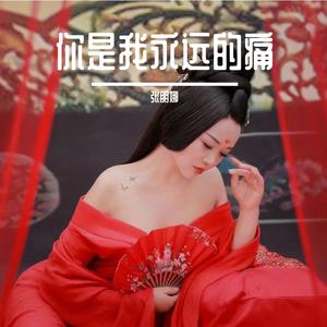 你是我永远的痛