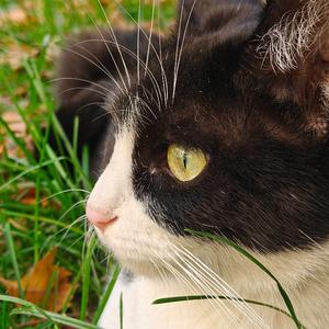 “寄托 ”SASIOVERLXRD×BOBBYNOPECACE Type Memphis beat