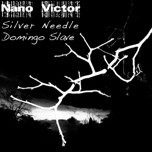 Silver Needle