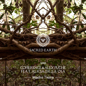 Madre Tierra (Extended Mix)