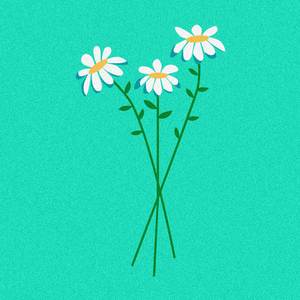 Shelter (Piano Version)