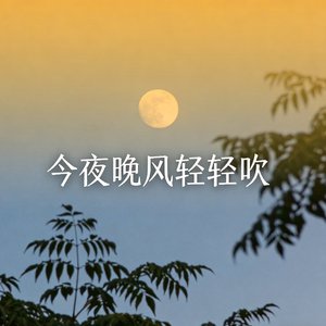 今夜晚风轻轻吹