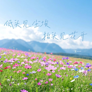 低头见尘埃 抬头见花开