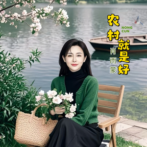 农村就是好 (DJ阿能版)