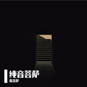 穿着黄金圣衣的大胖橘阁下如何应对