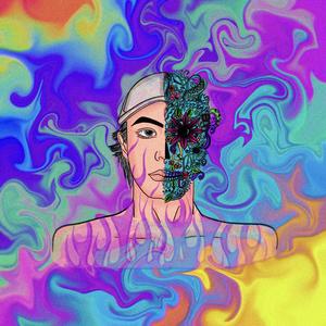 佳能，感动常在