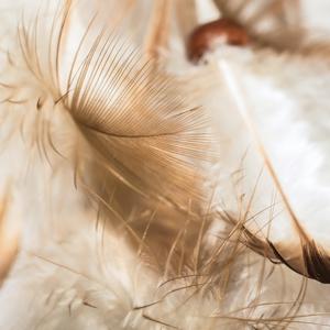 "מלאך יפה שלי"