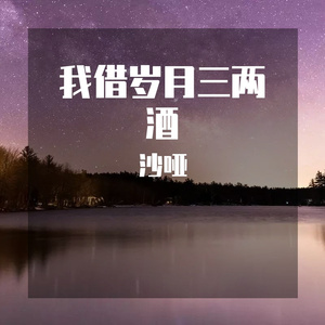 我借岁月三两酒（音乐抢先听）预告段落