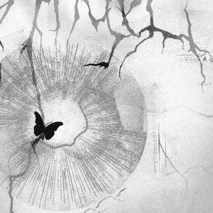 变（prod.nobirthday）