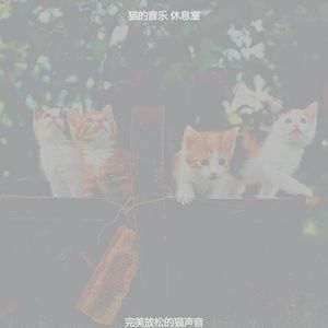优美小猫器乐
