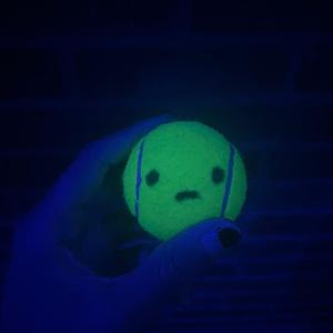 soccer ball (she won't kiss me)