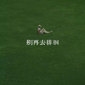 别再去徘徊