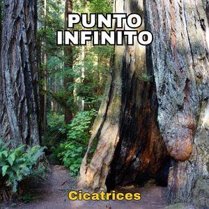 Cicatrices