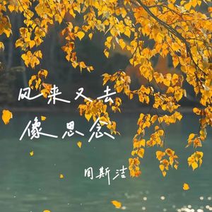 风来又去像思念