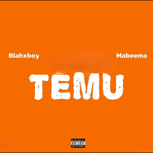 Temu