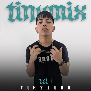 Tinymix Vol. 1 - Camuflaje/ Se Preparó/ Bonita/ Te Robó/ La Bachata/ Yonaguni (Cover)
