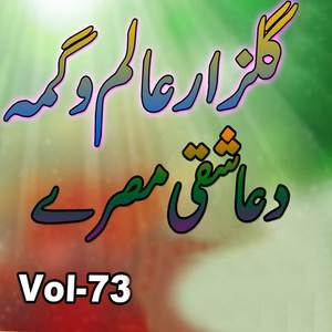 Tow Che Humzolow