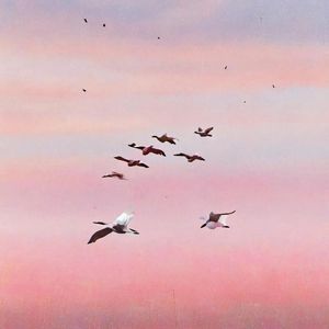 俱怀逸兴壮思飞，欲上青天揽明月-揽月之志