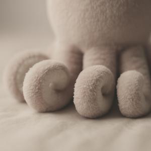 Jelly Cat (English Version)