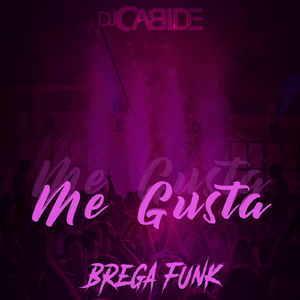 Me Gusta Brega Funk