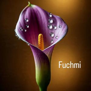 Fuchmi