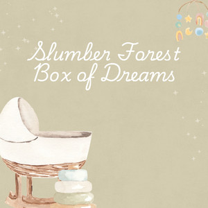 Stars Over the Forest