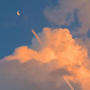 多想在平庸的生活拥抱你