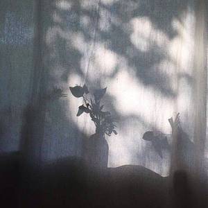 在每个黎明拥抱你