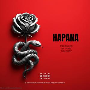 Bongo Fleva x Zouk Guitered Typebeat_HAPANA_2026