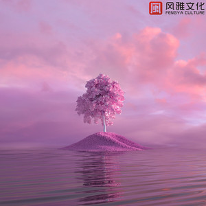 路小雨 -小提琴