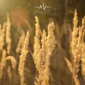 秋天的果实 (古筝减压)