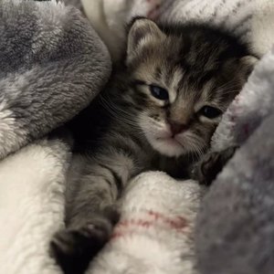 爱上你的清澈与不堪