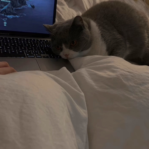 大小姐-妈妈我好累（白日梦探险家 remix）