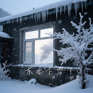 东北下雪了