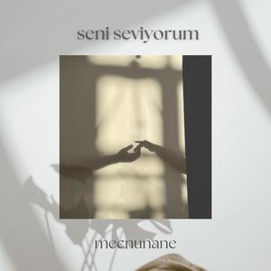 Seni Seviyorum