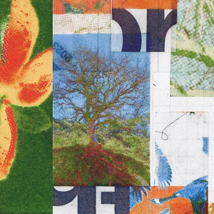 .Anyone#03 !!!为什么在我的床上**|