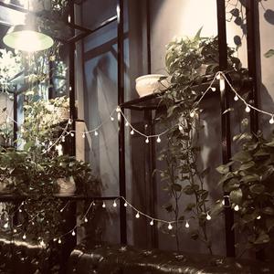 徐先生和陈姑娘(不完整版DEMO)