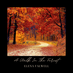 A Walk In The Forest