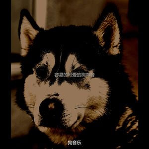 一尘不染小狗印象数