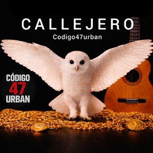 CALLEJERO